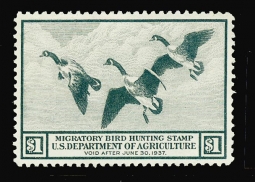 "RW3, VF LH Canada Geese Duck Stamp"