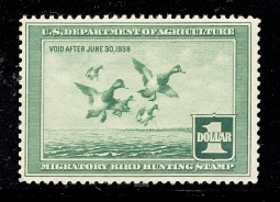 "RW4, FVF NH Scaup Duck Stamp"