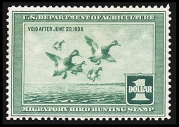 "RW4,VF NH Scaup Duck Stamp"