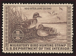 "RW6, FVF NH Pintail Duck Stamp"