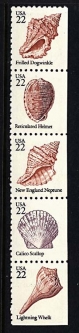 US 2117-21 Sea Shells