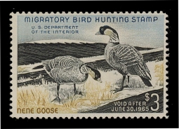 "RW31, FVF NH Nene Geese,  Duck Stamp"
