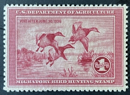 "RW2, NH Canvasbacks Duck Stamp"
