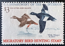 "RW36, FVF NH White-Winged Scooters, Duck Stamp"