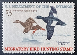 "RW36, VF NH White-Winged Scooters, Duck Stamp"