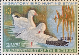 "RW37, FVF NH Ross' Geese, Duck Stamp"