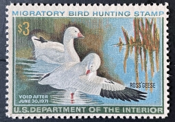 "RW37, VF NH Ross' Geese, Duck Stamp"