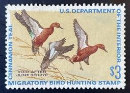 "RW38, FVF NH Cinnamon Teal, Duck Stamp"