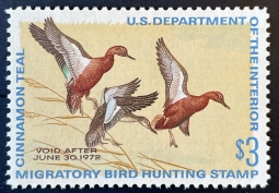 "RW38, VF NH Cinnamon Teal, Duck Stamp"