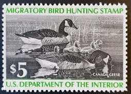 "RW43, VF NH Canada Geese, Duck Stamp"