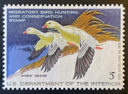 "RW44, VF NH Ross' Geese, Duck Stamp"