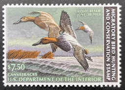 "RW49, VF NH Canvasbacks Duck Stamp"