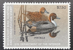 "RW50, VF NH Pintail Duck Stamp"