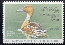 "RW53, VF NH Fulvous Whistling Duck Stamp"