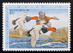"RW54, VF NH Redhead Duck Stamp"
