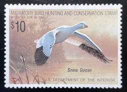 "RW55, VF NH Snow Geese, Duck Stamp"