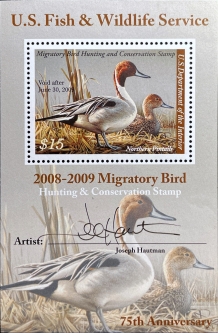 RW75b, Northern Pintail Duck Stamp Artist-Signed Souvenir Sheet