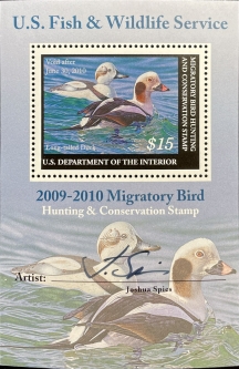 "RW76b, VF NH Long-Tailed Duck/Decoy  Souvenir Sheet"