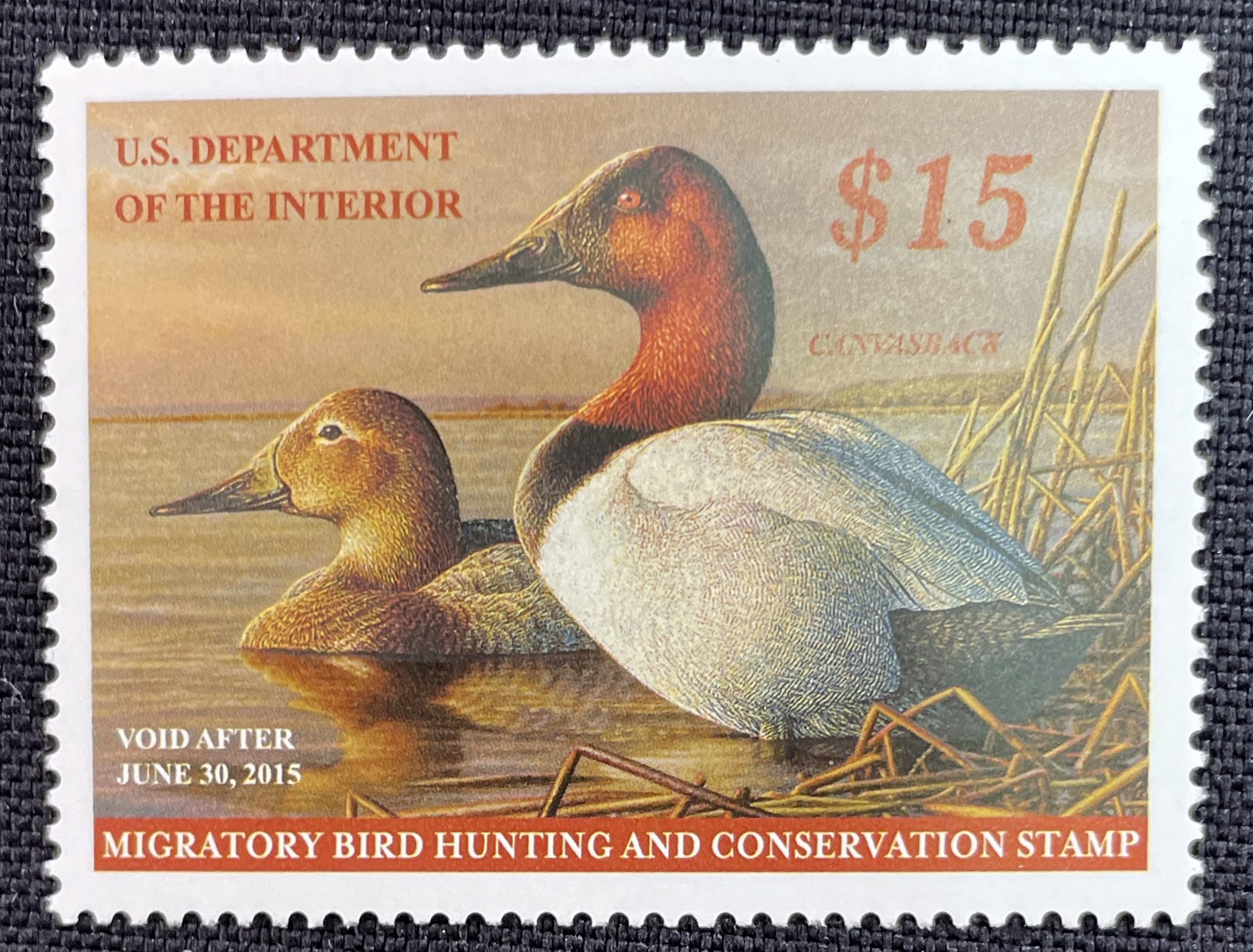 RW81 Canvasbacks Duck Stamp
