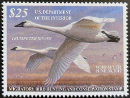 "RW83 VF NH Trumpeter Swans, Duck Stamp"