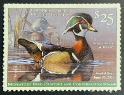 RW86, 2019 Wood Duck Stamp