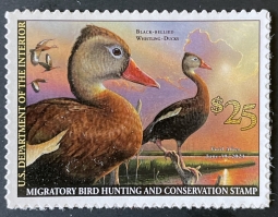RW87, 2020 Black-Bellied Whistling Duck Stamp