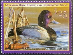RW88 2021 Lesser Scaup Duck Stamp