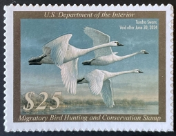 RW90 2023 Tundra Swans Duck Stamp