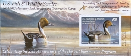 RW91A 2024 Northern Pintail Duck Stamp Pane of One