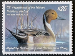 RW91 2024 Northern Pintail Duck Stamp