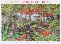 US 3899 37-cent Northeast Deciduous Forest Pane of 10 Used