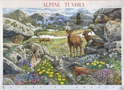 US 4198, Alpine Tundra  Used