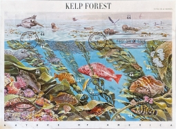 US 4423 Kelp Forest Used