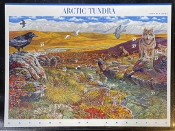 US 3802 Arctic Tundra